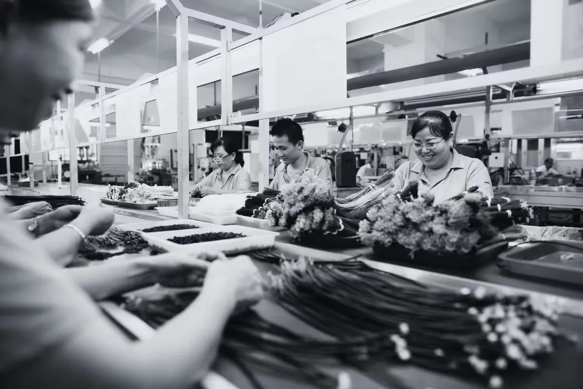 Workers assembling components along a production line at a partner factory